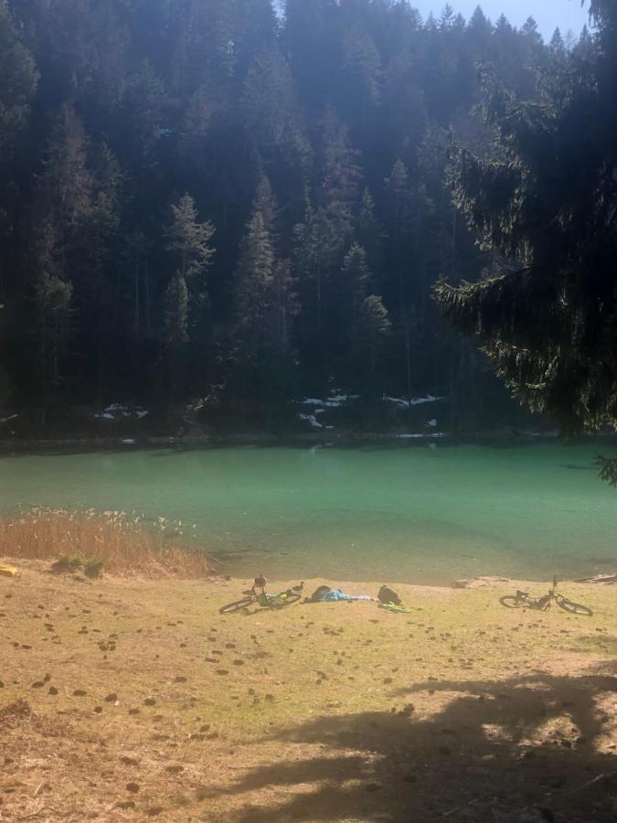 Panoramablick * Lermoos
