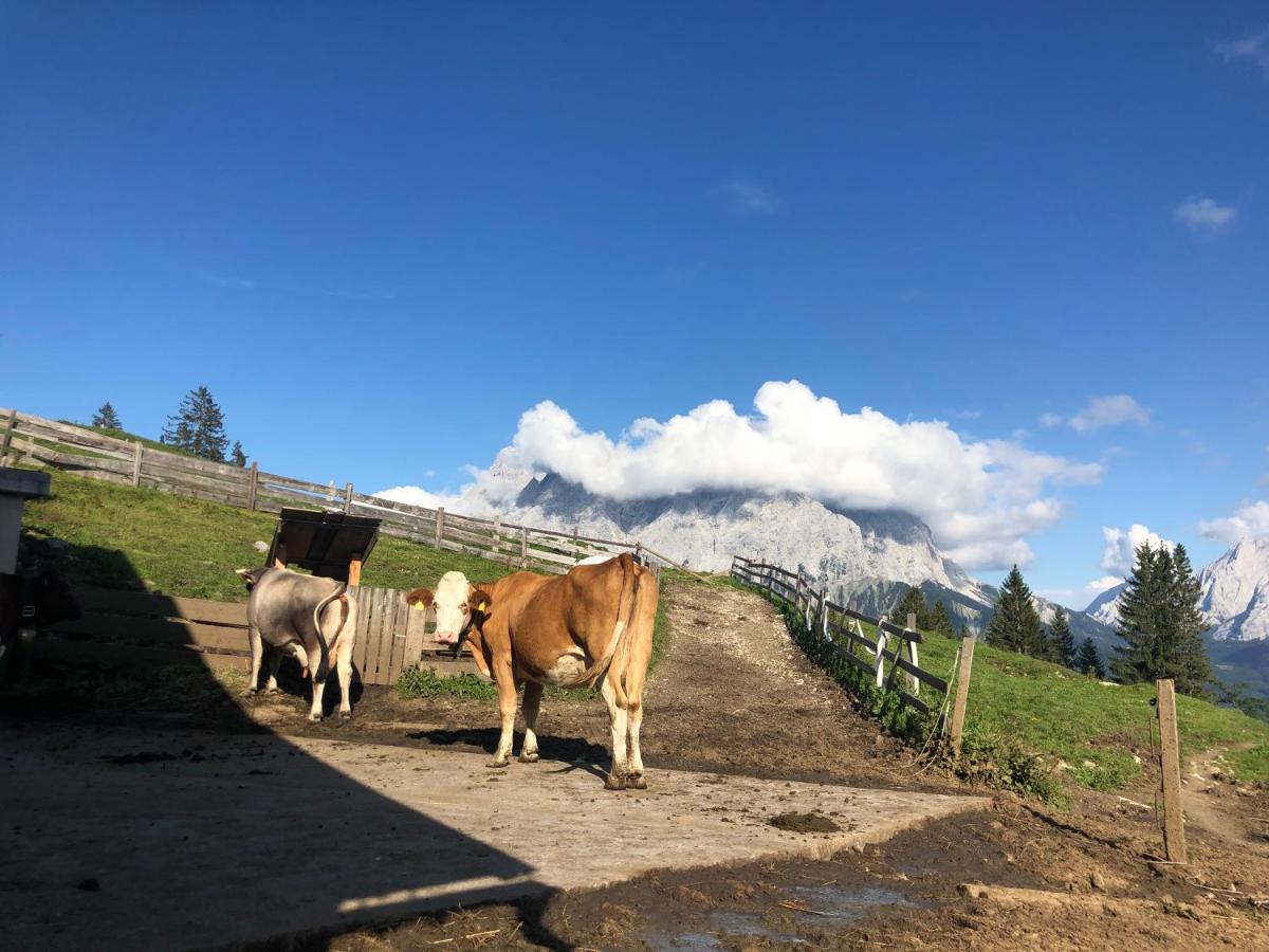 Appartement Panoramablick
